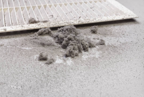 Best Duct Cleaning for Homes  in Greenville, AL