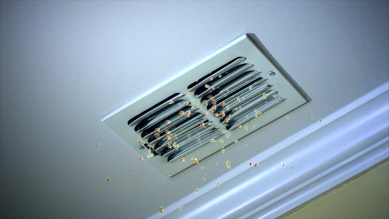 Best Air Duct Cleaning Near Me  in Greenville, AL