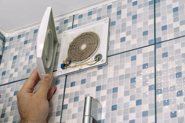 Best Dryer Vent Cleaning Services  in Greenville, AL