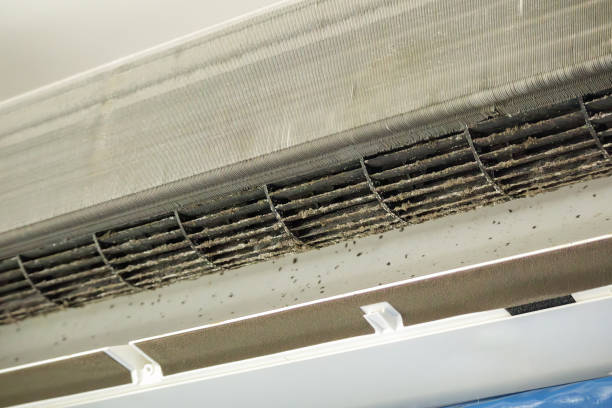 Best Air Duct Cleaning Near Me  in Greenville, AL
