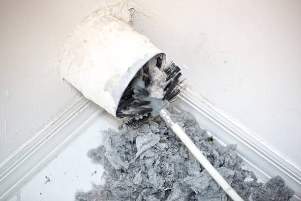 Best Air Duct Inspection  in Greenville, AL