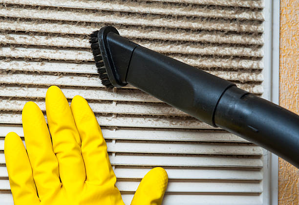 Best Local Air Duct Cleaning Services  in Greenville, AL
